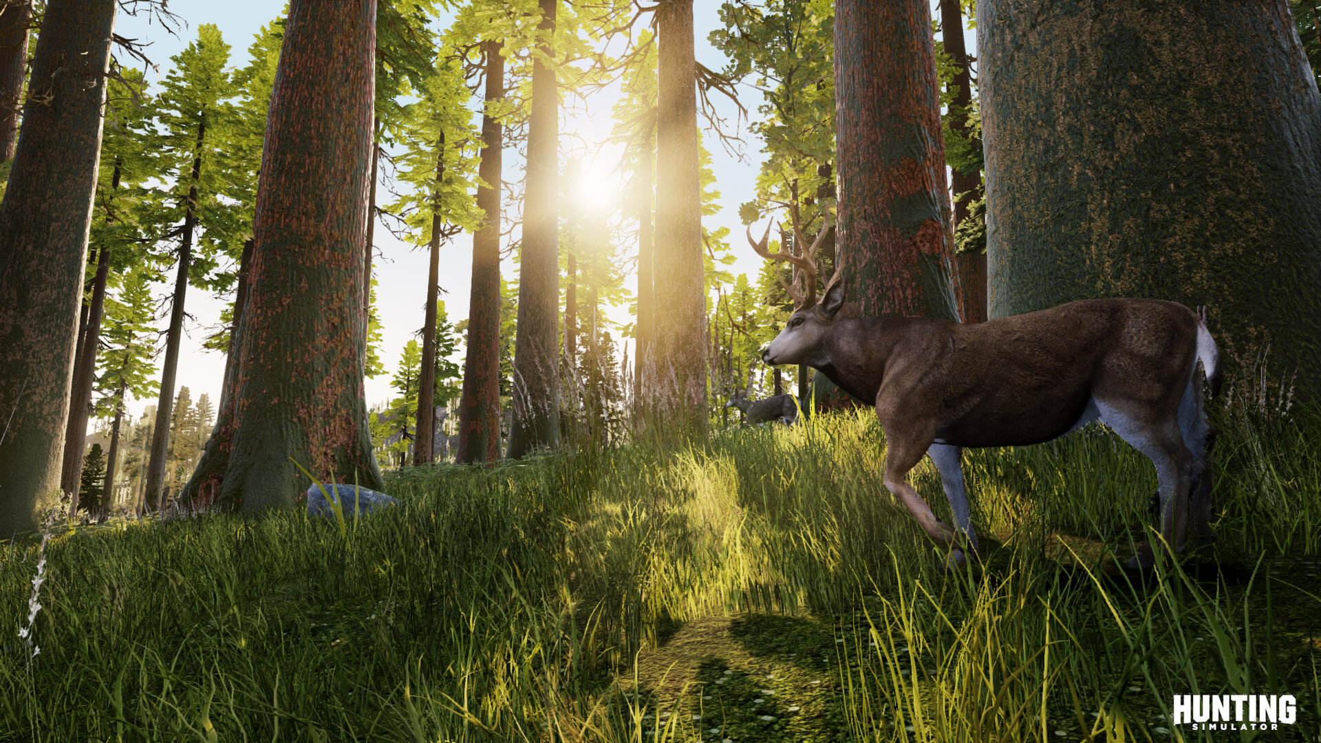 Hunting Simulator traz muita diversidade com dezenas de animais, armas, ambientes e centenas de missões no modo Campanha.